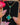 Black Opal