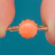 Antique 15ct Gold Coral Solitaire Ring