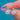 Classic 18ct Gold Pearl Diamond Drop Earrings