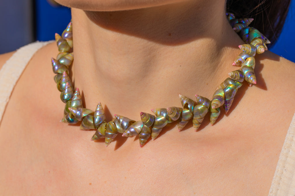 Large Victorian Tasmanian Shell Necklace