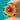 FINE 15ct Gold Victorian  Garnet Cabochon 'UFO' Pendant, Locket-Back