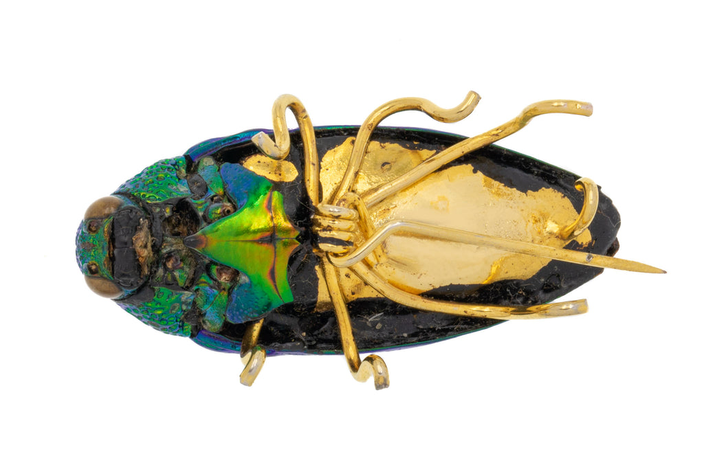 Antique Gold Toned Beetle Brooch