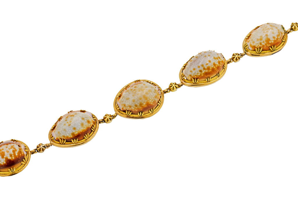 13" Georgian Cowrie Shell Choker Necklace