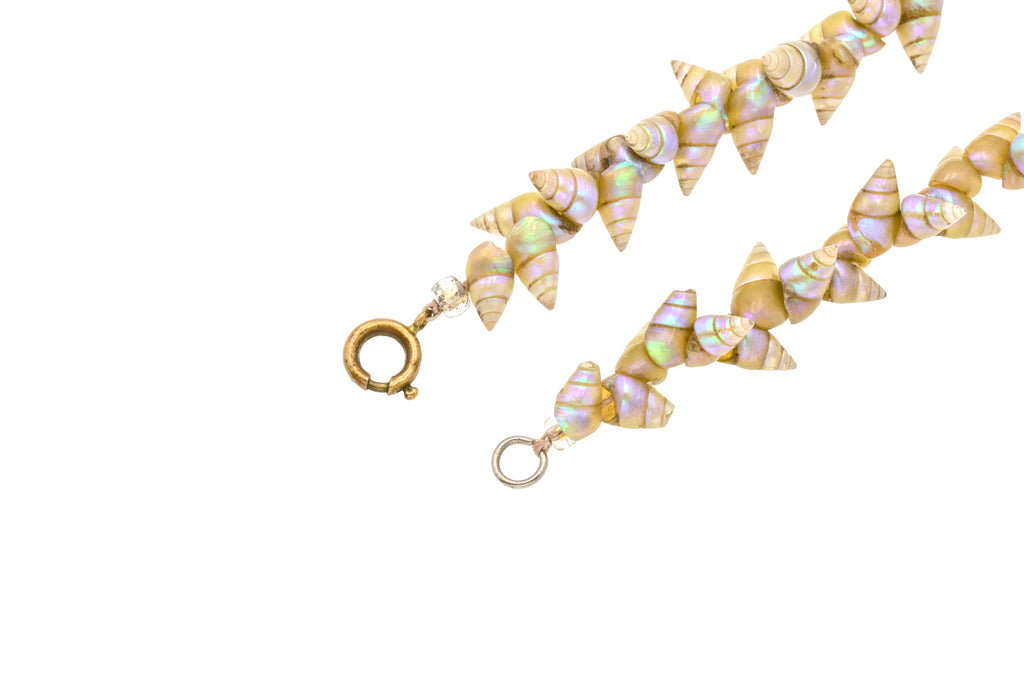 36" Rare Maireener Tasmanian Shell Necklace